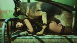 (Bestiality) Wanderer X Dogmeat Bed 1