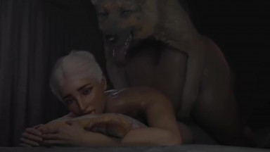 Animal dog breeding night